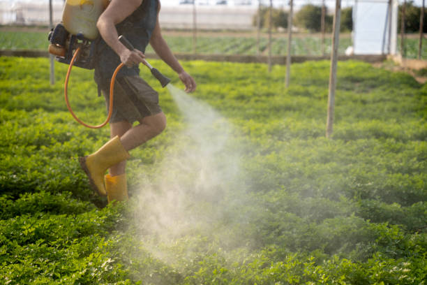 Best Pest Control for Businesses  in Cocoa West, FL