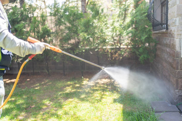 Best Spider Control Near Me  in Cocoa West, FL