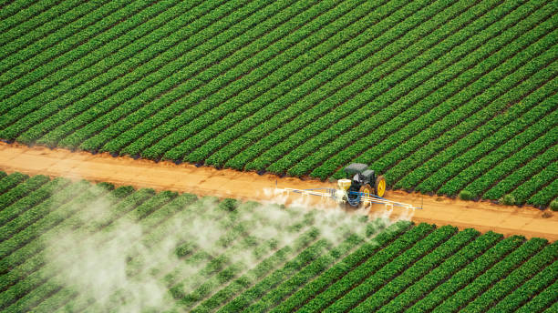 Trusted Cocoa West, FL Pest Control Experts