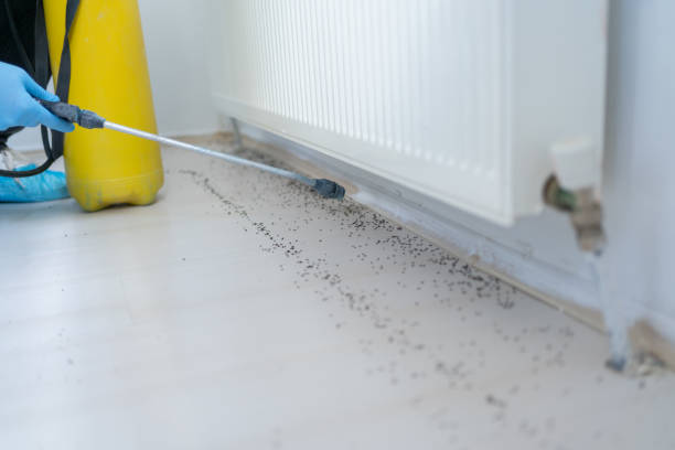 Best Insect Control  in Cocoa West, FL