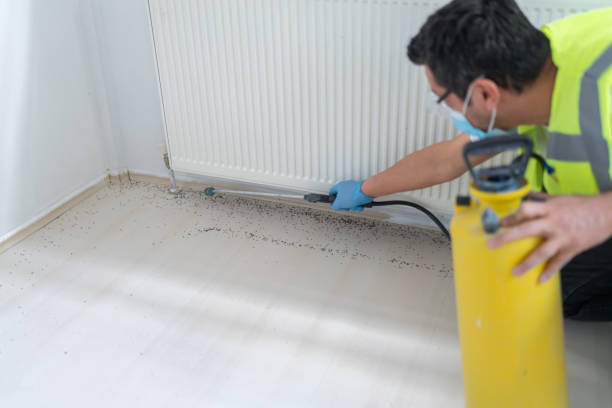 Best Best Pest Control Companies  in Cocoa West, FL