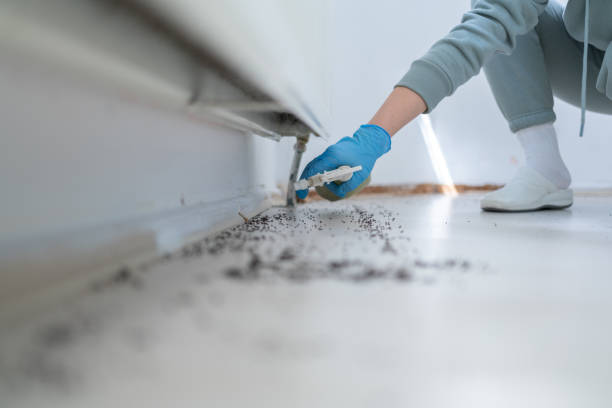 Best Pest Prevention Services  in Cocoa West, FL