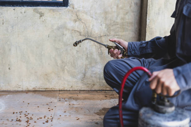 Best Wasp Removal Services  in Cocoa West, FL